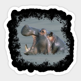 Hippo in Kenya / Africa Sticker